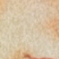 Gourja